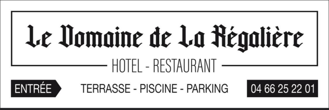 Logis Hotel Restaurant Le Domaine De La Regaliere 昂迪兹 外观 照片